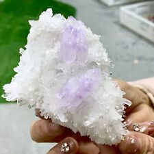 221G Natural Transparent Chrysanthemum crystal Cluster with Amethyst Specimen picture