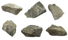 6PK Raw Argillaceous Shale Rock Specimens, 1