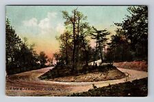 Reading PA-Pennsylvania, A Turn In The Boulevard, Antique, Vintage Postcard picture