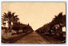 1913 Palm Driveway Acampo Pine Trees Exterior Road California Vintage Postcard picture