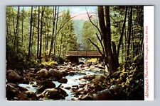 Adirondack Mountains NY-New York, Wilmington Notch Brook, Vintage Postcard picture