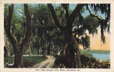 Savannah GA Georgia, Live Oaks Draped with Moss, Vintage Postcard picture