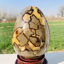 8.04lb Natural Turtle Back Stone Egg Shape Dragon Crystal Crack Mineral specimen picture