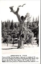 Frashers Fotos RPPC Hangman's Tree Big Oak Flat Road near Yosemite California picture