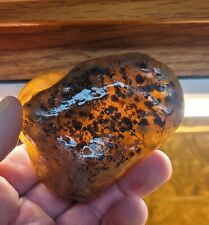 Montana Moss Agate Rough, Freshly Picked  From The Yellowstone 14lbs A-Class picture
