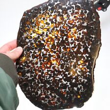 370g Beautiful SERICHO pallasite Meteorite slice - from Kenya C7389 picture