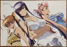 Double Sided Anime Poster: Highschool of the Dead, Samurai Girls picture
