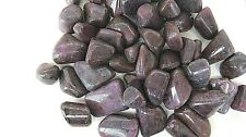 One Ruby Tumbled Stone XL 30-40mm Healing Crystal Lemuria Akashic Record Psychic picture