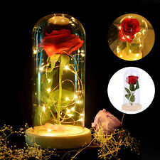 Beauty And The Beast Enchanted Rose Glass Dome LED Lighted Valentine Decor Gift picture