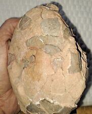 FOSSIL DINOSAUR EGG - POSSIBLY HADROSAUR - CRETACEOUS - HUBEI PROVINCE CHINA picture