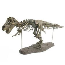 4D Dinosaur Skeleton Fossils Bones Puzzle Kids Toy Collection Animal Model Decor picture