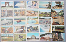 Yellowstone National Park Vintage Postcard LOT of 25 old faithful geyser Haynes picture