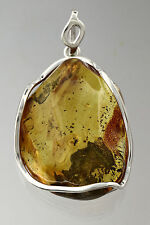 PARASITIC WASP Inclusion Genuine BALTIC AMBER Huge Silver Pendant 23.1g p60503-8 picture