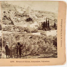 Jerusalem Palestine Mount Olives Stereoview c1898 Mosque Church Hill Photo F841 picture