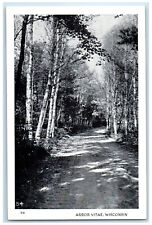 c1950's Road Birches View Arbor Vitae Wisconsin WI Unposted Vintage Postcard picture