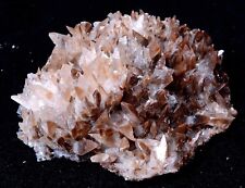 Newly Find Natural Red Swallow-Tail Twin Crystal Calcite Mineral Specimen 477g picture