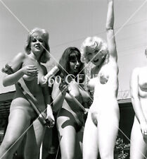 1960s Photo Print Big Breasts Blondes Brunettes Laurel Canyon LC5 picture