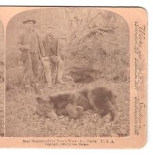 Stereoview Card: 2 Bear Hunters in the Northwest c.1893 picture