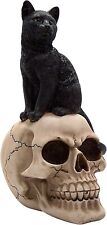 Black Cat Sitting on a Skull Figurine, Freestanding Tabletop Decoration, Gothic  picture