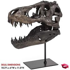 Replica Tyrannosaur Skull Faux Jurassic Dinosaur Bones T-Rex Head Fossil Decor picture