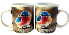 The Mad Bluebird Vintage Mugs 2 Michael L. Smith 1979 Eklund's Ltd. *Marks/Read picture