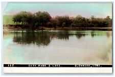 Glenwood Iowa IA RPPC Photo Postcard City Park & Lake c1910 Tinted Unposted picture