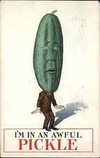 Metamorphic Fantasy Pun Wordplay Pickle Headed Man c1910 Vintage Postcard picture