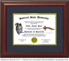 Squirrel Diploma - Personalized with your Name/Date- Best on eBay. Squirrels picture