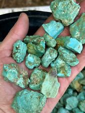 Special Offer: 1 LB of Turquoise Mountain. Classic Light Blue Genuine Turquoise picture