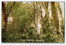 Roosevelt Tour Postcard The Tropic Jungle Topeka Kansas KS c1910's Antique picture