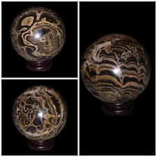 62mm Stromatolite Sphere Black Brown Natural Crystal Fossil Mineral Stone - Peru picture