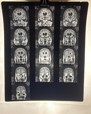 MRI CT Brain Scans X-Rays Medical Skull Prop Halloween Lot of 10 (A5) picture