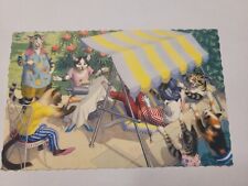 Vintage Alfred MAINZER CATS IN THE BACKYARD POSTCARD Used Has Writing On It  picture