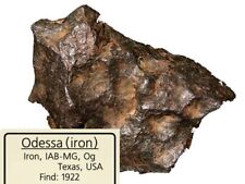 Odessa meteorite specimen (meteorite) Odessa picture