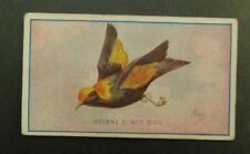 Cigarette Card Sniders Abrahams Adv. Gifts Animals and Birds 1910 Regent Bower  picture