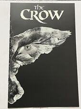 The Crow: Death and Rebirth #1-E Necra Variant Wrap Around Cvr RARE picture
