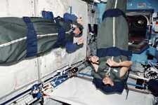 Flown NASA JSC Space Shuttle Atlantis Body Restraint Strap Artifact STS-135 picture