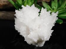 100% Natural Aragonite CAVE STALACTITE Crystal Cluster Chihuahua Mexico 193gr picture
