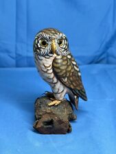 Saw Whet Colorful Wooden Handmade Home Decorative Owl Bird Figurine 4.75 Inch picture