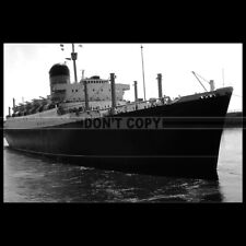 Photo b.000859 rms sylvania cunard line ship ocean liner 1958 picture
