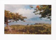 Postcard  St Kitts West Indies Basseterre Roadsted unused 100736 picture