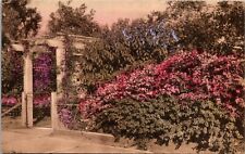 St Petersburg Florida FL Gateway Hand Colored Linen Vintage Postcard picture