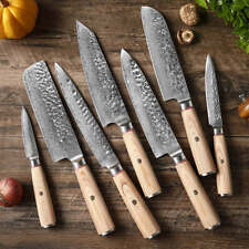 Damascus Steel Hand Kitchen Knife picture