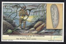 MARINE LIFE Vintage 1960 PARASITES Trade Card Bonellia Green Spoonworm picture