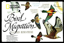 ⫸ 2004-4 April BIRD MIGRATION East & West Hemispheres National Geographic Map A3 picture