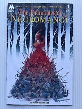 THE PRINCIPLES OF NECROMANCY #1, Magma Comix (2024) Rare Indie, 1st Ptg NM picture