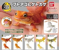 Diversity of Life on Earth Bearded Dragon Figure Bandai Gashapon Toys set of 5 picture