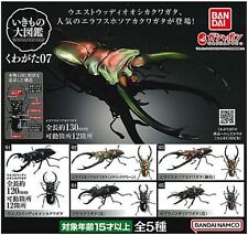 F/S Capsule Toy Gashapon Complete set Ikimono encyclopedia Stug Beetle BANDAI picture