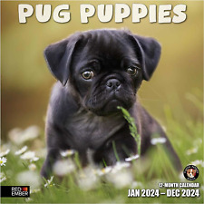 RED EMBER Pug Puppies 2024 Hangable Monthly Wall Calendar | 12