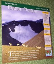 Endangered Species Animal Card - Habitats - Tibetan Plateau #4 picture